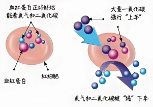 冬季需警惕“隐形杀手”：一氧化碳中毒