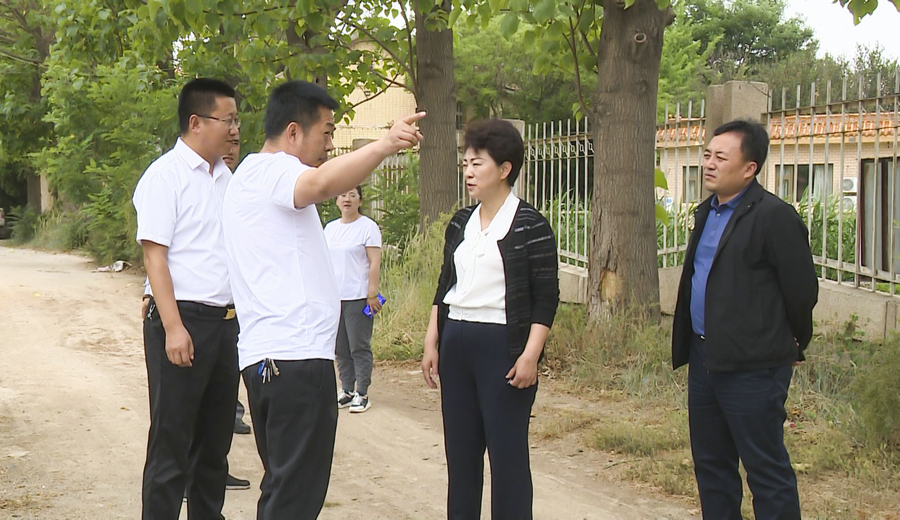 张莉在四龙镇调研美丽乡村建设并开展巡河工作