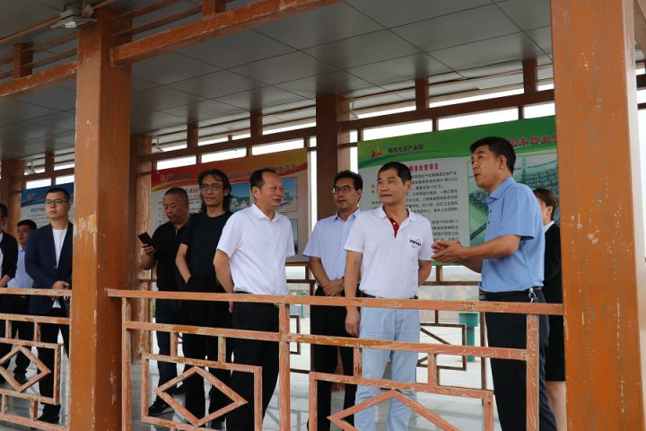 洪金界一行先后来到银西生态产业园,王岘镇红星村张家台社,金岭公园等